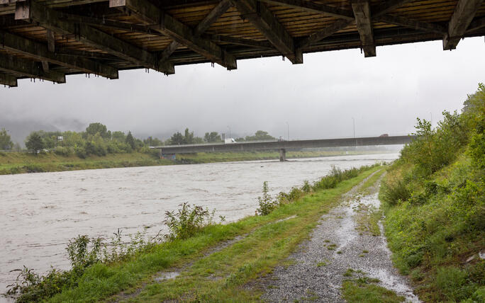 Hochwasser am Rhein