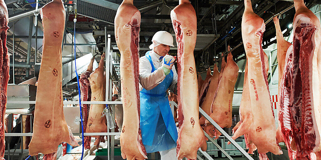 Die Schliessungen von Schlachtbetrieben wegen Corona-Ausbrüchen führt zu einer abgespeckten Fleischproduktion in Deutschland im ersten Halbjahr. (Archivbild)