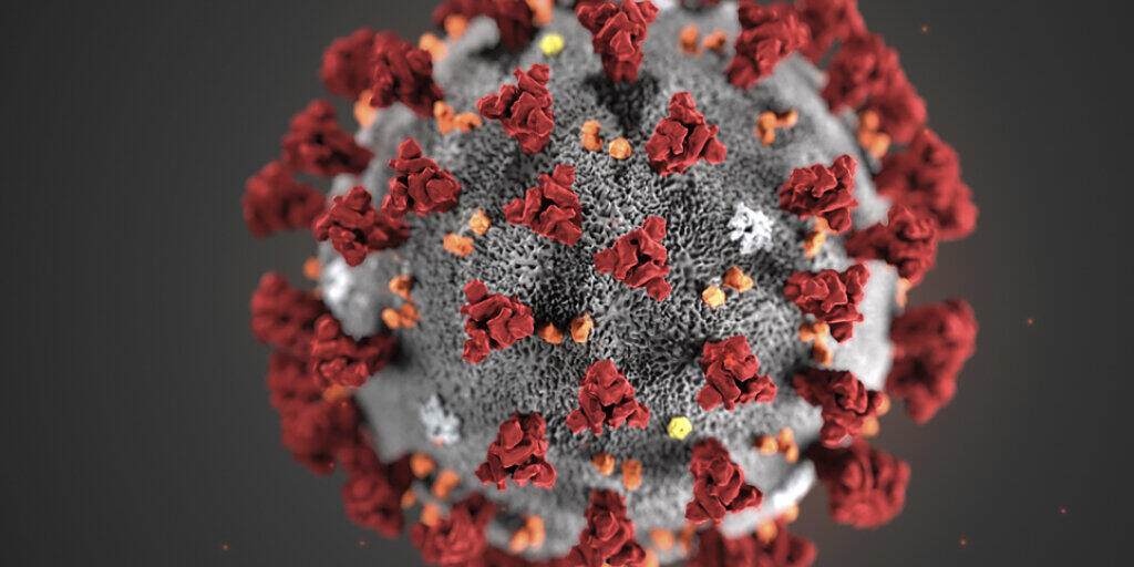 Dieser Krankheitserreger sorgt derzeit für weltweite Aufregung: Nun hat auch Australien wegen des Coronavirus Massnahmen ergriffen. (Themenbild)