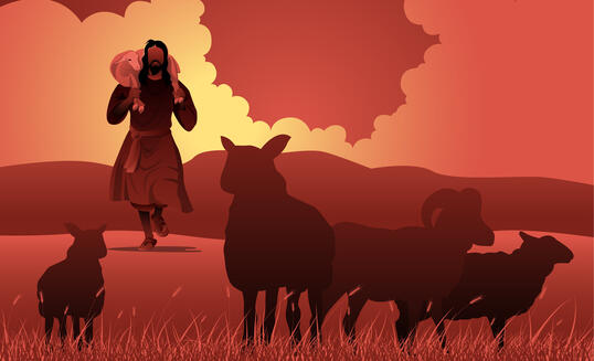 Weihnachtsstern Geschichte 24.12.