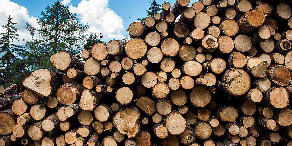 Die Forstwirtschaft hat im vergangenen Jahr wieder durchschnittlich viel Holz geernet, nachdem im Vorjahr wegen Sommerhitze, Borkenkäferbefall und Winterstürmen ausserordentlich viel Holz geerntet wurde. (Archivbild)