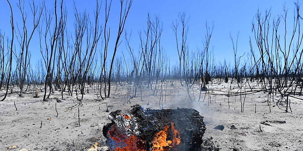 Verbrannte Erde in dem bisher bei Touristen beliebten Flinders Chase National Park auf Kangaroo Island in Australien. (Archivbild)