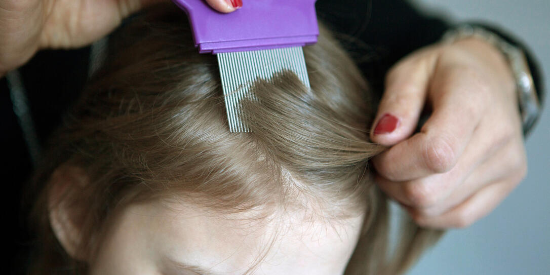 Familie, Kinder, Parasiten, Menschenlaeuse, Haare, Bad, Parasit, Kind, kaemmen, Kopflaeuse, suchen, Kopfhaut, Schulkind, Nissenkamm, Haar, Kopfhaare, Tierlaus, Floehe, Laeuse, Badezimmer, Laeusekamm, parasitaerer, Sauberkeit, Sicherheit, Kopflaus, befallen Familie, Kinder, Parasiten, Menschenlaeuse, Haare, Bad, Parasit, Kind, kaemmen, Kopflaeuse, suchen, Kopfhaut, Schulkind, Nissenkamm, Haar, Kopfhaare, Tierlaus, Floehe, Laeuse, Badezimmer, Laeusekamm, parasitaerer, Sauberkeit, Sicherheit, Kopflaus, befallen