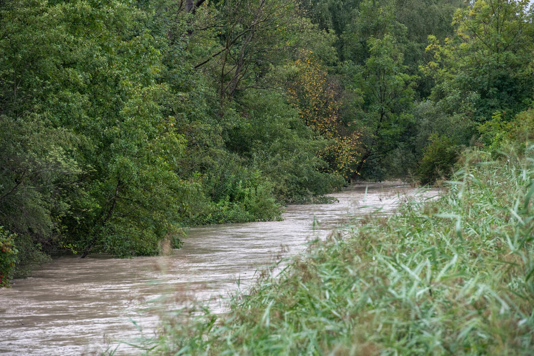 Hochwasser Rhein und Kanal