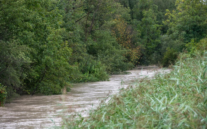 Hochwasser Rhein und Kanal