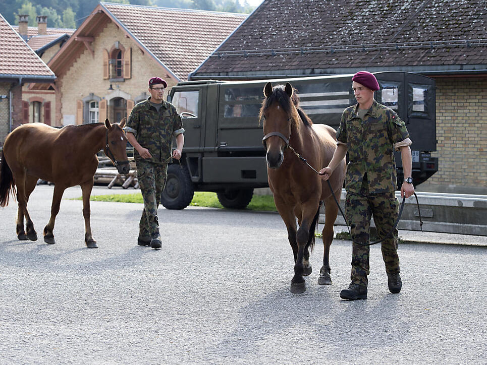 Acht Pferde des Armee-Tier-Kompetenzzentrums in Bern sind an Druse erkrankt, nachdem dort die Tiere des mutmasslichen Tierquälers aus Hefenhofen einquartiert waren. Ob die Thurgauer Tiere die Armeepferde ansteckten, ist aber nicht sicher. (Archiv)