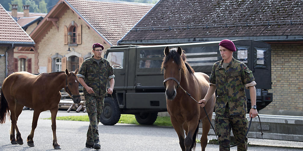 Acht Pferde des Armee-Tier-Kompetenzzentrums in Bern sind an Druse erkrankt, nachdem dort die Tiere des mutmasslichen Tierquälers aus Hefenhofen einquartiert waren. Ob die Thurgauer Tiere die Armeepferde ansteckten, ist aber nicht sicher. (Archiv)