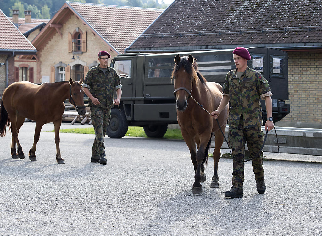 Acht Pferde des Armee-Tier-Kompetenzzentrums in Bern sind an Druse erkrankt, nachdem dort die Tiere des mutmasslichen Tierquälers aus Hefenhofen einquartiert waren. Ob die Thurgauer Tiere die Armeepferde ansteckten, ist aber nicht sicher. (Archiv)