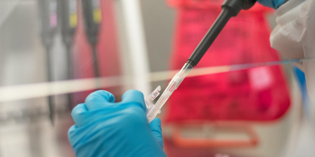 Coronavirus Coronavirus