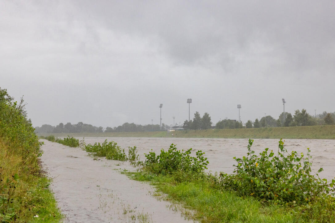 Hochwasser am Rhein