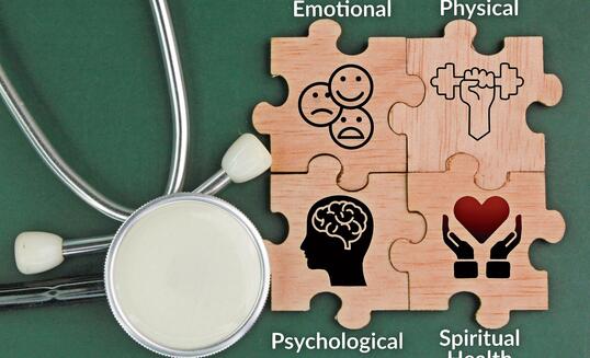 wooden puzzle with icons and words emotional, physical, psychological, and spiritual health. What are the 4 domains of health?