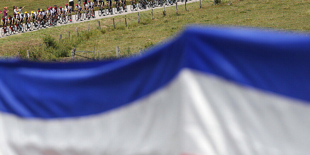 Das Fahrerfeld der Tour de France auf dem Weg zum Etappenziel in La Planche des Belles Filles