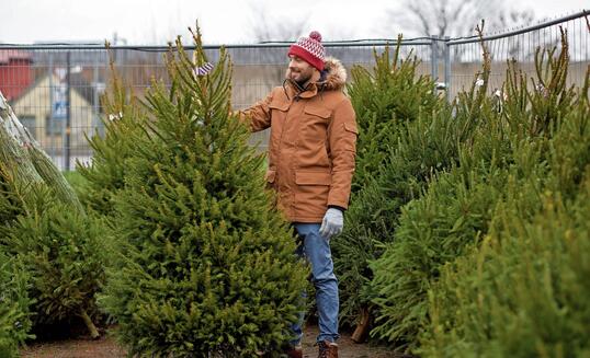 happy man choosing christmas tree at market