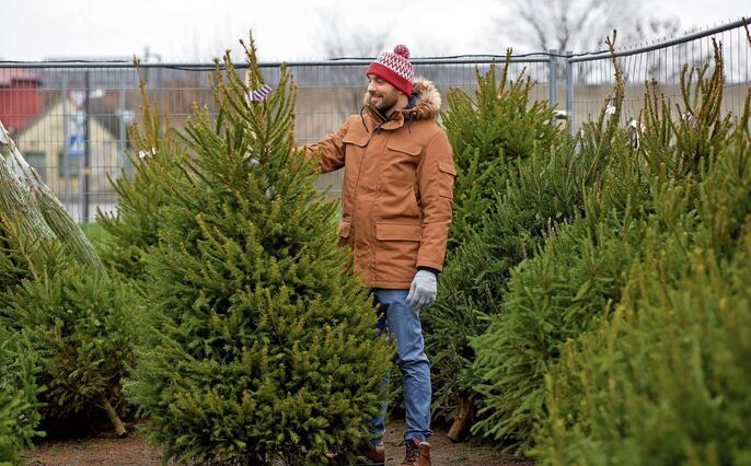 happy man choosing christmas tree at market