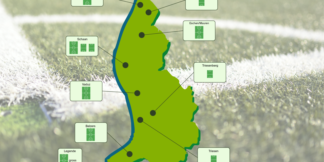 Internationale Spiele werden in Zukunft nur auf der Rheinwiese in Schaan ausgetragen.