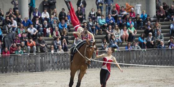 St. Gallen - OFFA Frühlingsmesse Freitzeit- und Sportmesse und Pferdemesse Besucher bei oder in der Arene bei der Darbietung der Pferdevoltiiererinnen