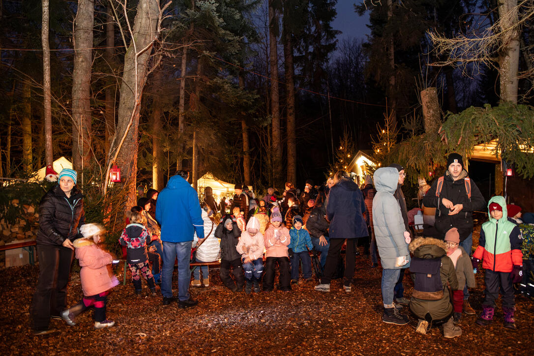 Nikolaus im Walde, Schellenberg (07.12.2024)