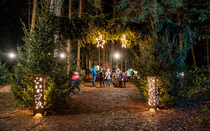 Nikolaus im Walde, Schellenberg (07.12.2024)