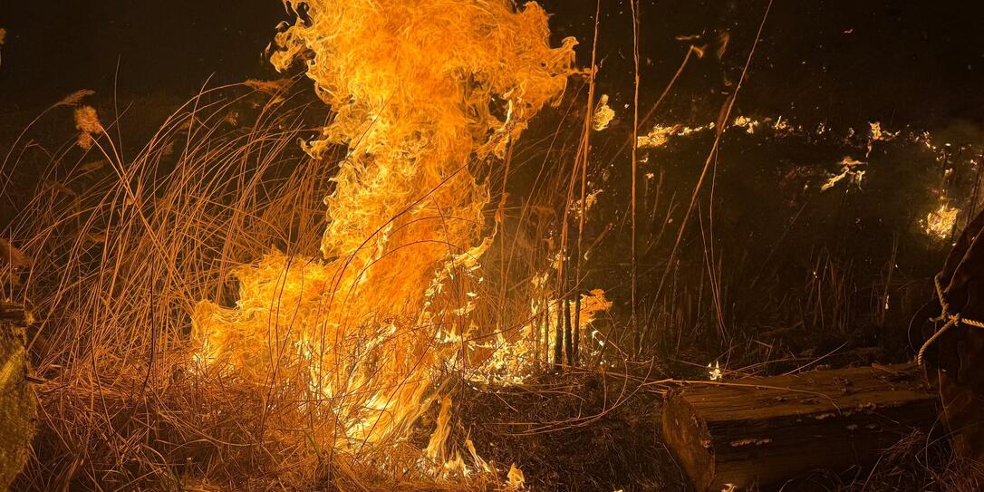 Schilfbrand am 9. März in Mauren