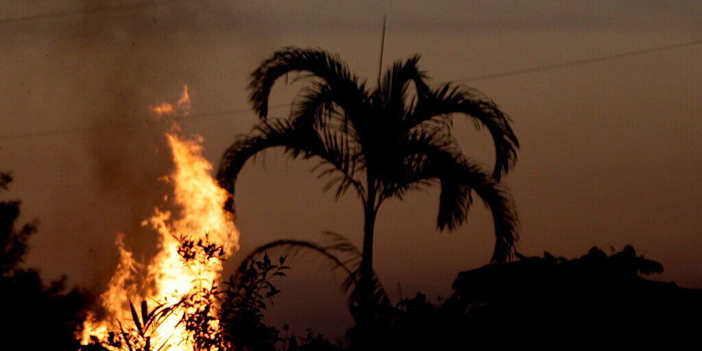 Die Brände im Amazonas-Gebiet legen im Vergleich mit dem Vorjahr wieder zu. (Archivbild)