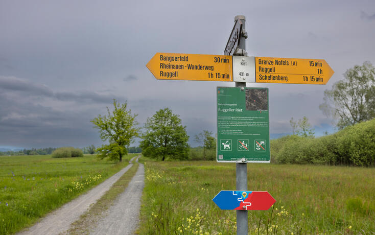 Ruggeller Riet
