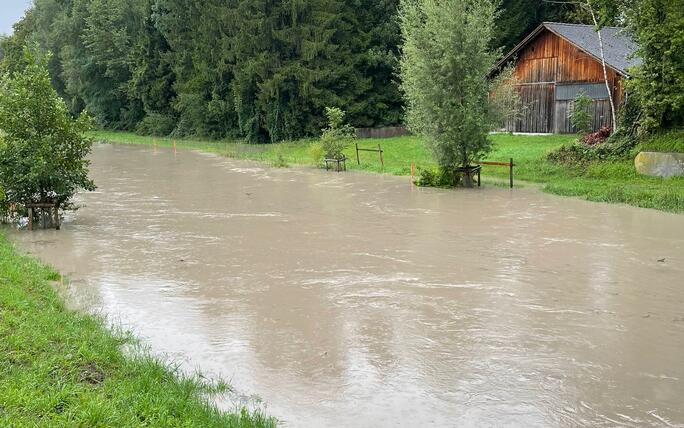 Hochwasser Rhein und Kanal (28.08.2023)
