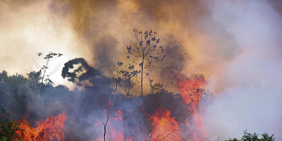 Brazilian Amazon Burning