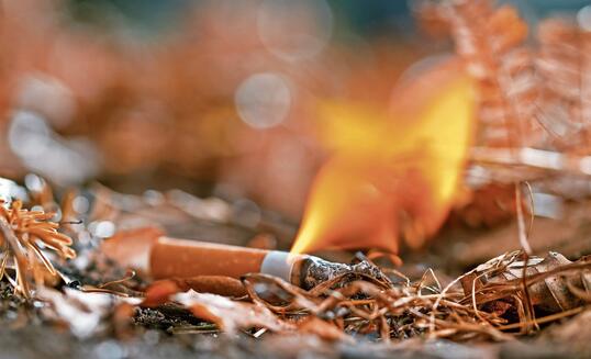 Burning cigarette butt on ground
