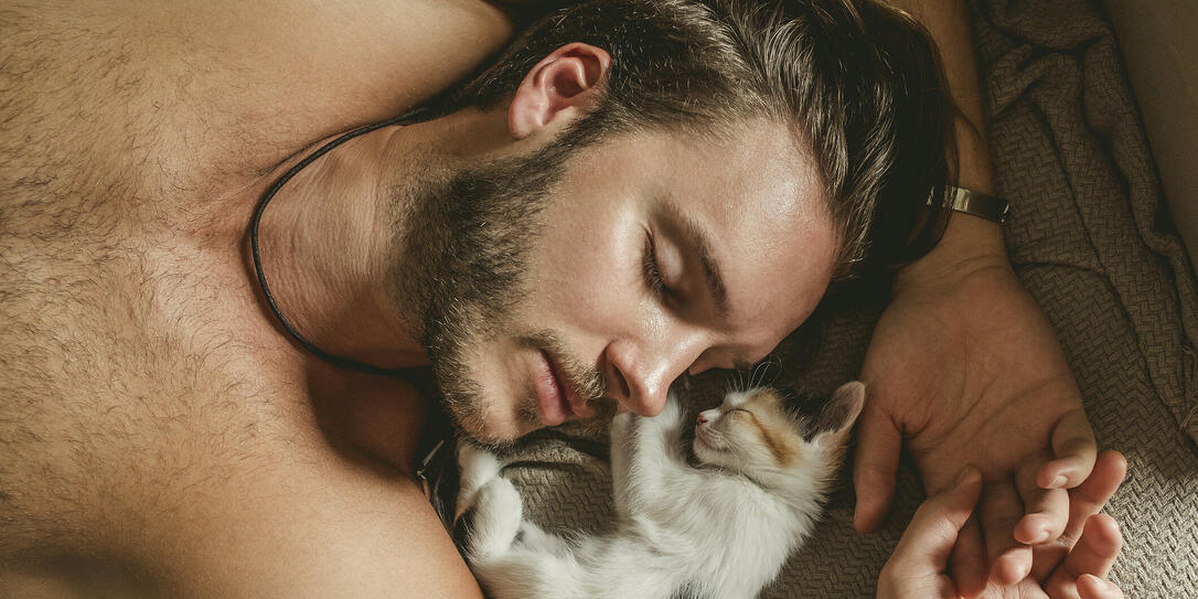 lazy mornings at home lazy mornings at home