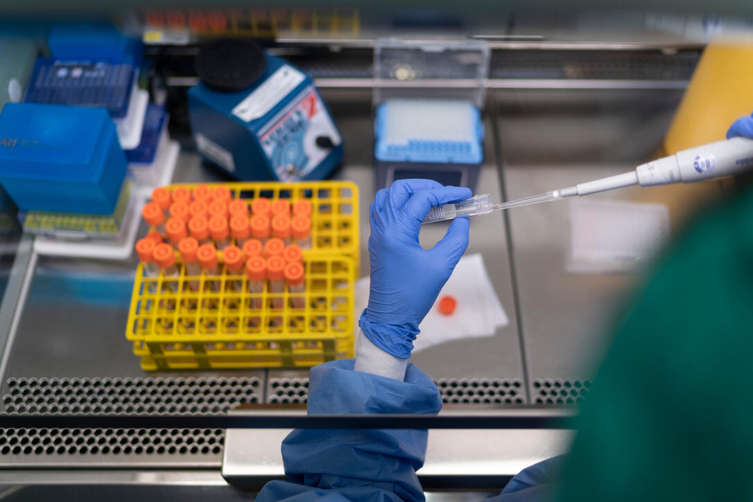 TRIEMLI, STADTSPITAL, SPITAL, LABOR, ZENTRALLABOR, LABORTAETIGKEITEN, TEST, TESTEN, TESTS, PROBE, PROBEN, CORONA-TEST, CORONA-PROBE, PCR-TEST, PCR, ANALYSE, AUSWERTUNG, CORONAVIRUS, CORONA, VIRUS, COVID-19, COVID 19, SARS-COV-2, NCOV-2019, 2019-N-COV,  LAB