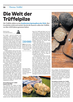 Seite 016