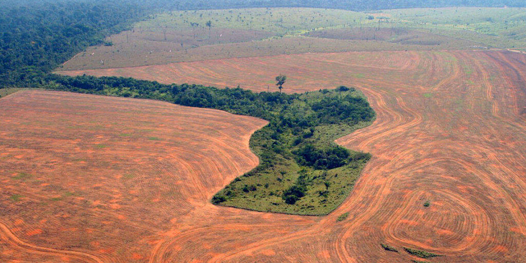 Die Abholzug des Regenwaldes in Brasilien hat seit dem Amtsantritt von Präsident Jair Bolsonaro weiter zugenommen. (Symbolbild)