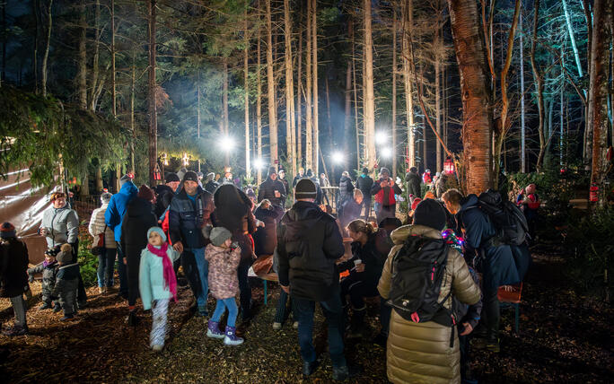 Nikolaus im Walde, Schellenberg (07.12.2024)