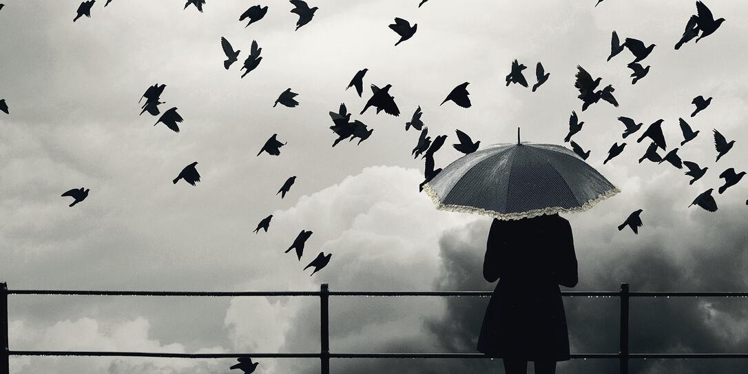 Woman and pigeons in the rain