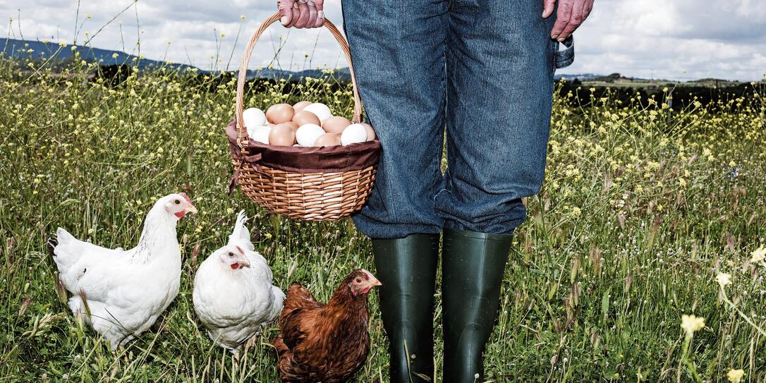 Farmer with organic eggs Farmer with organic eggs