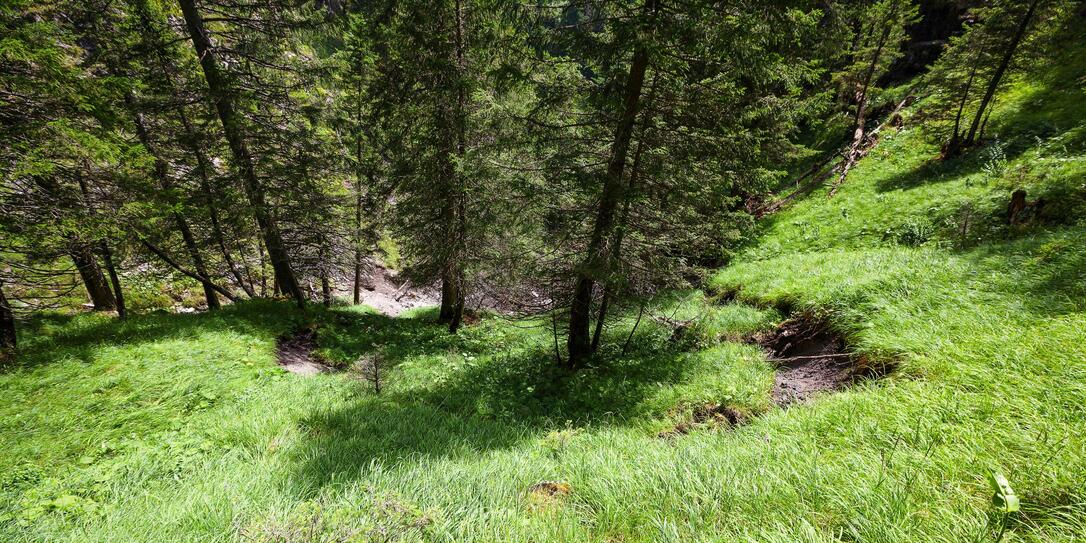 Erdrutsch Steg Malbun Entstehung 140728