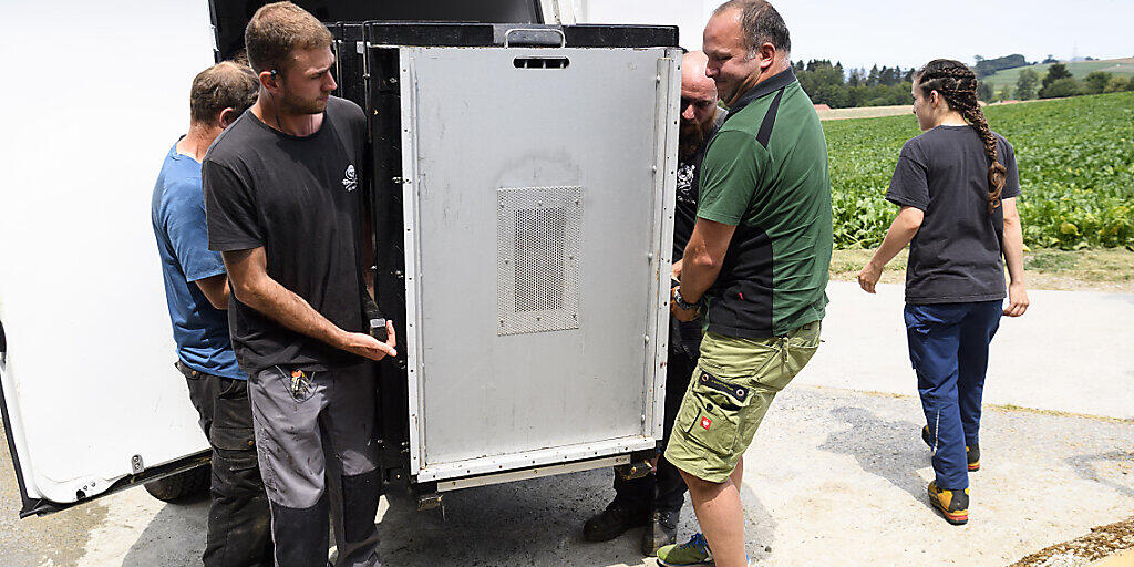 Die Transportkiste mit dem 105 Kilogramm schweren Junglöwen Makuti wird ausgeladen.