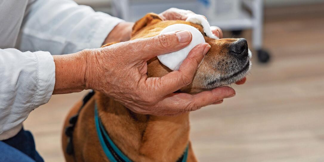 Ursula Bürgi in Gamprin