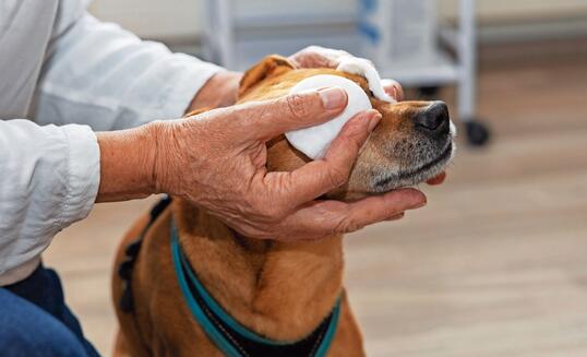 Ursula Bürgi in Gamprin