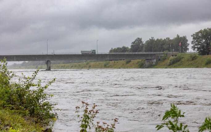 Hochwasser am Rhein