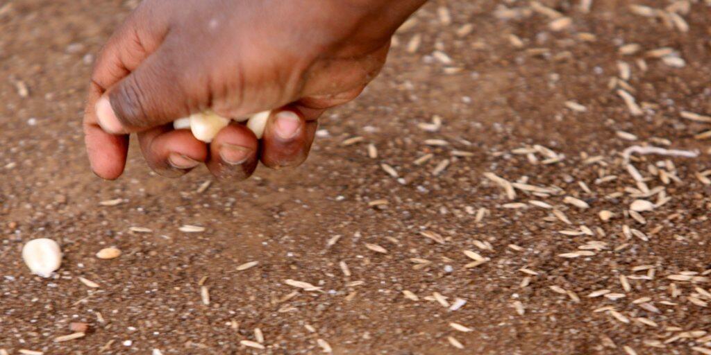 Im südlichen Afrika spitzt sich die Versorgungslage zu. 45 Millionen Menschen sind wegen Dürren, Überflutungen und auch Misswirtschaft von akuter Hungersnot bedroht, warnte das Welternährungsprogramm (WFP) der Vereinten Nationen am Donnerstag. (Symbolbild)
