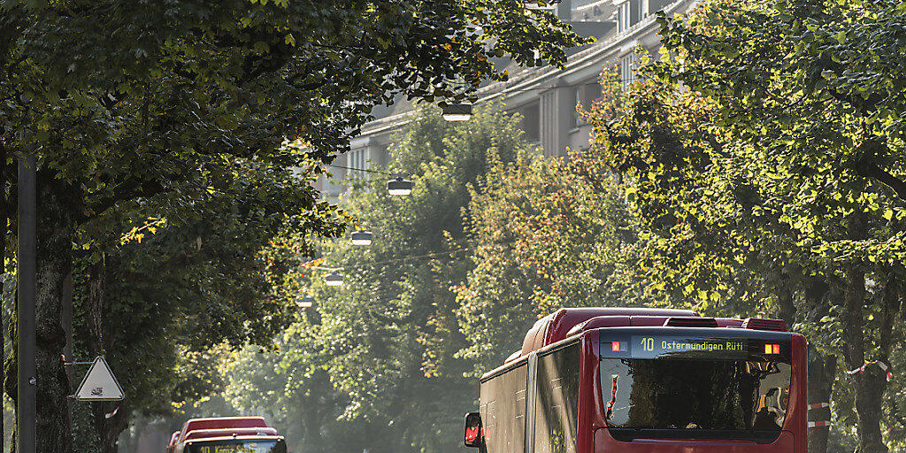 Auf der Berner Viktoriastrasse sollen sich künftig Trams kreuzen, nicht mehr die roten Busse von BERNMOBIL. (Archivbild)