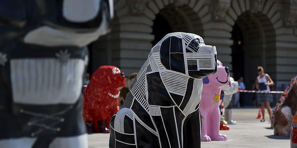 "DigiDog" ist eine Kreation des Künstlers Ata Bozaci im Auftrag von Energie Wasser Bern (ewb). Am 21. Juni wurde er mit weiteren rund 100 Bernhardiner-Skulpturen auf dem Bundesplatz präsentiert.