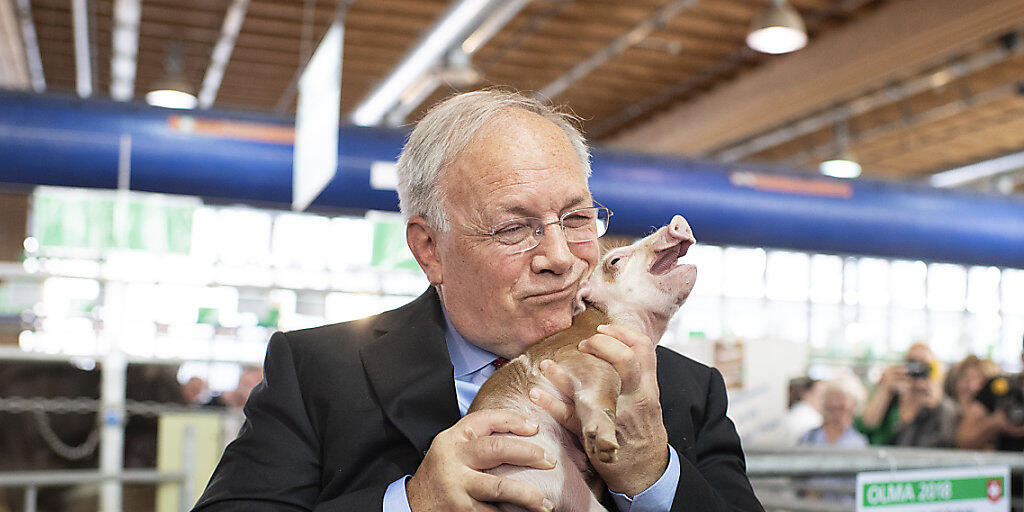 Will möglicherweise auf sein Ruhegehalt verzichten: der abtretende Bundesrat Johann Schneider-Ammann. (Archivbild)