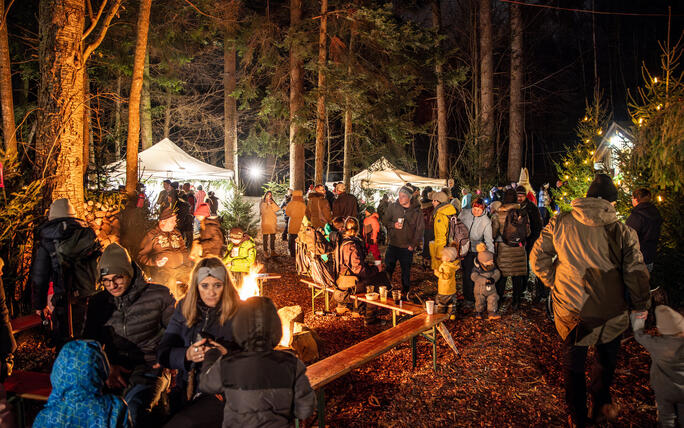 Nikolaus im Walde, Schellenberg (07.12.2024)