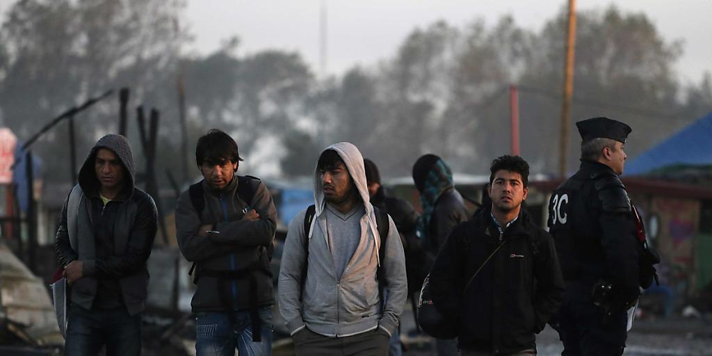 Sie k&ouml;nnen auf Asyl hoffen: Fl&uuml;chtlinge verlassen das Camp in Calais.