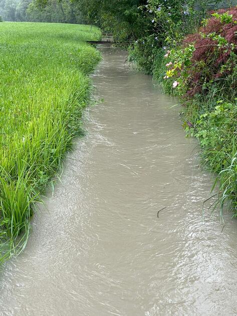 Hochwasser Rhein und Kanal (28.08.2023)