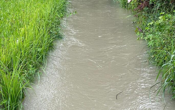 Hochwasser Rhein und Kanal (28.08.2023)