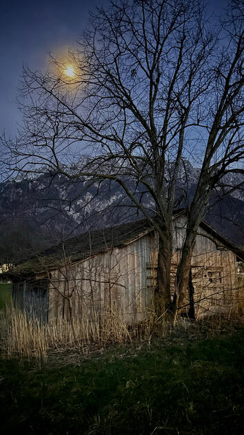 Mystische Stimmung im Schaaner Riet