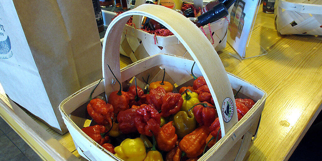 Die schärfste Chili-Schote der Welt: die Sorte Carolina Reaper. (Archivbild)